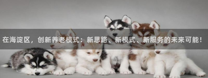 韦德是哪个