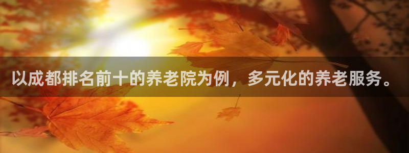 韦德2014