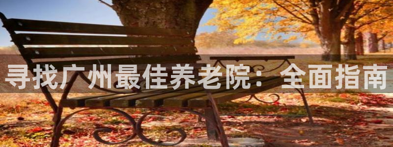 韦德网址是多少