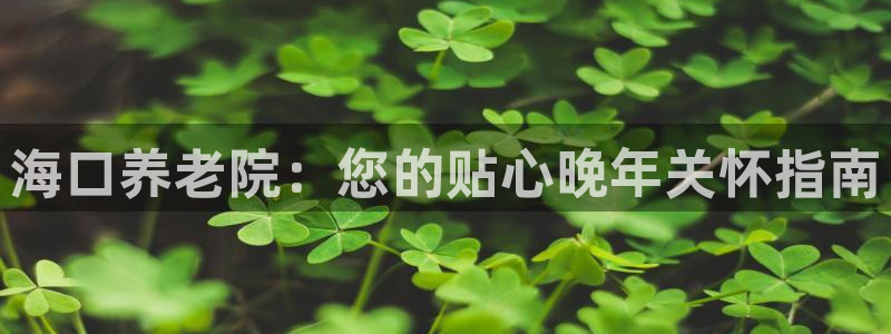 bet韦德1946