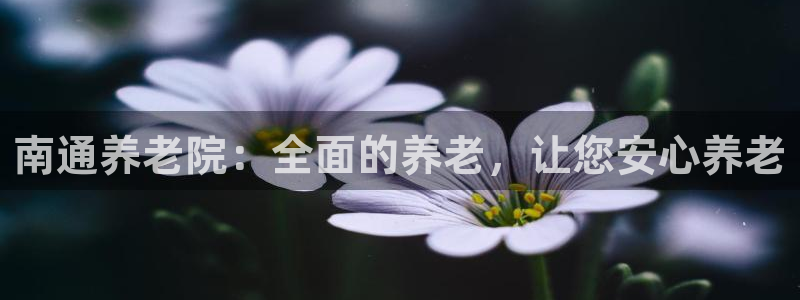 韦德1946官网