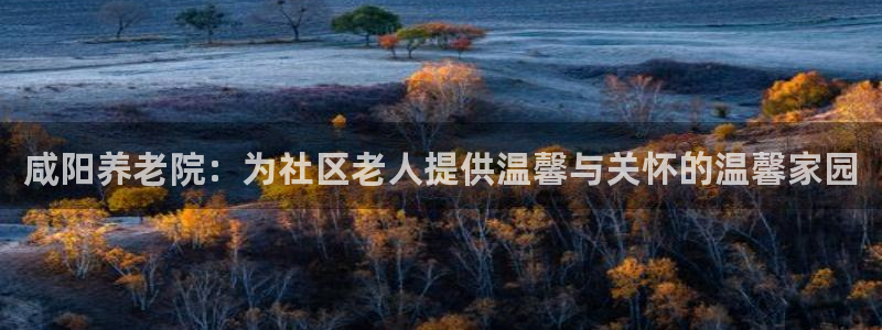 韦德国际体育
