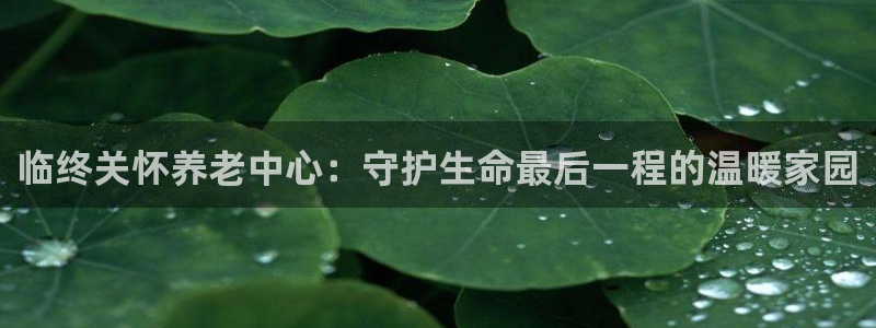 韦德游戏大厅