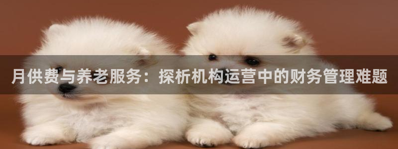 韦德1946中文官网