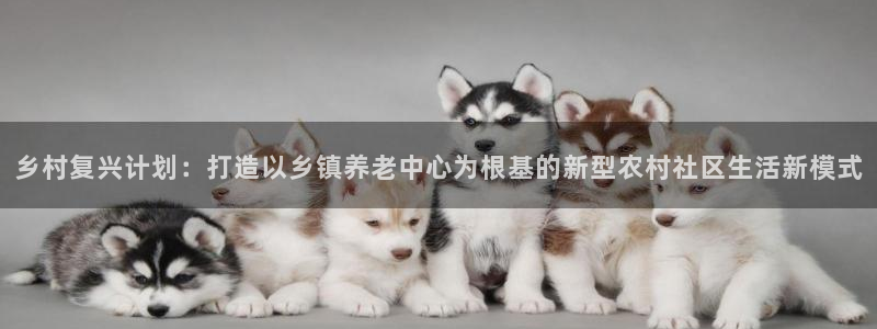 韦德1946源自英国