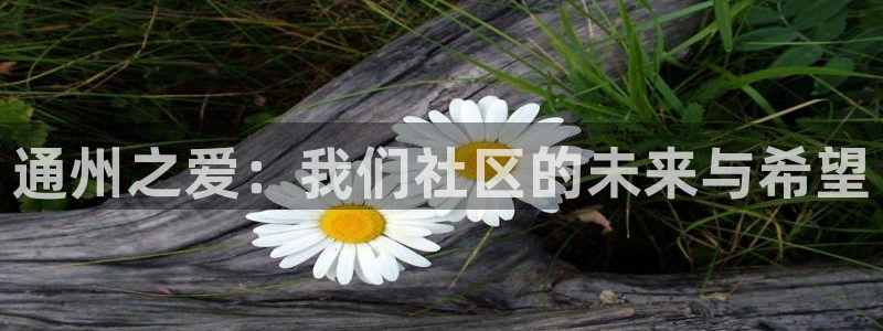 韦德官网在线