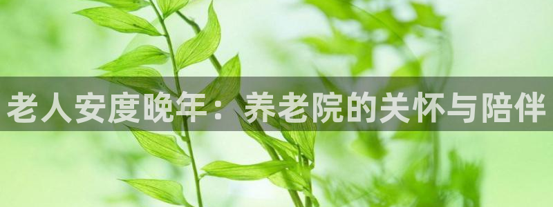 韦德1946最新网站