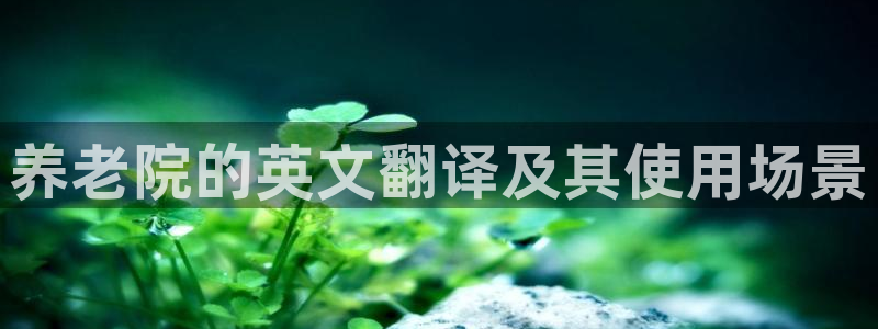 韦德betvlctor1946