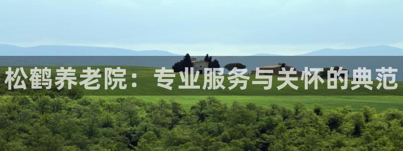 韦德属于什么