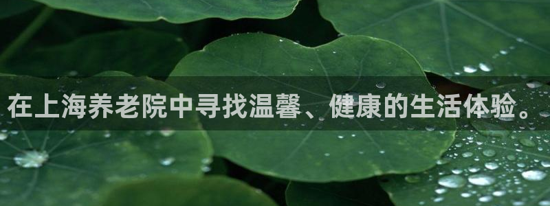 韦德国际1946官网