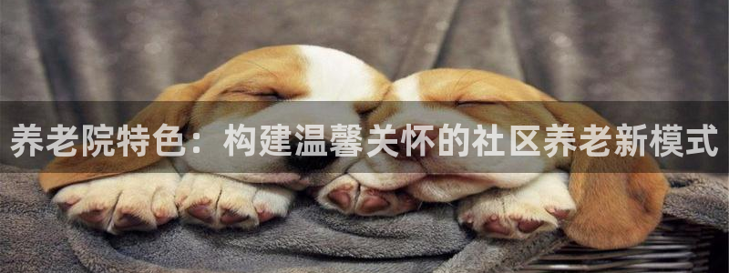 韦德是哪个
