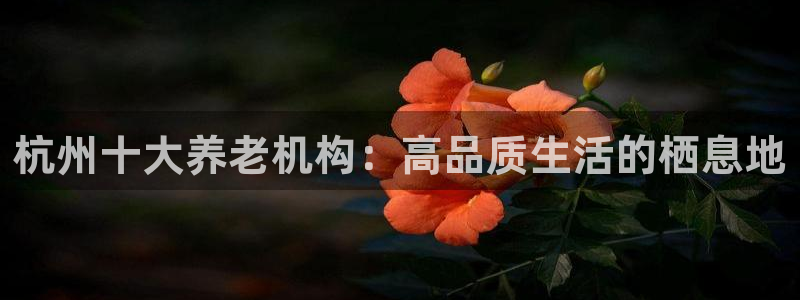 韦德的游戏