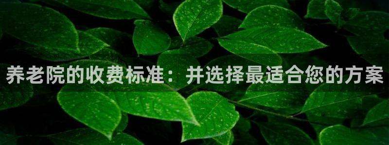 韦德官网在线