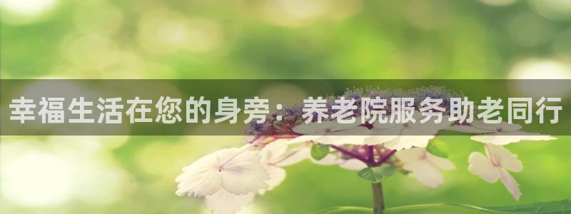 韦德网址是多少