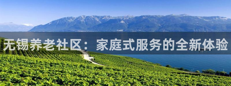 韦德1946游戏