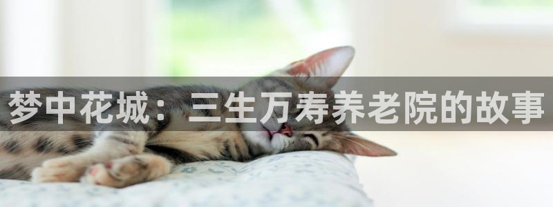 韦德的游戏