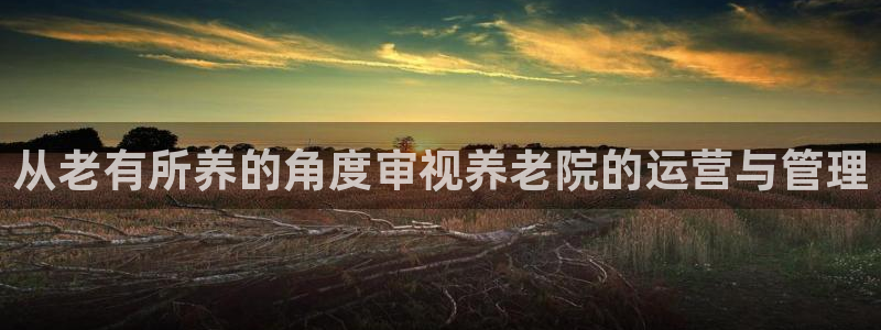 韦德下载