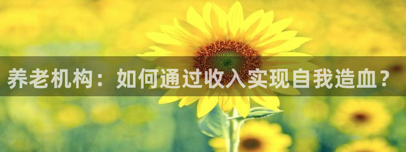 韦德1946体育