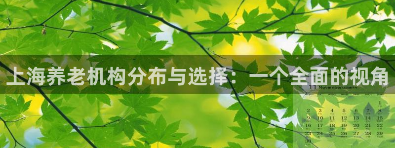 韦德游戏是什么