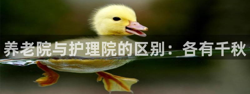 韦德注册手机版