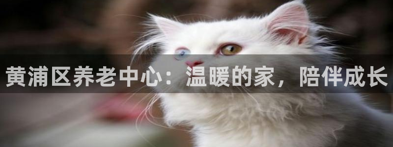 韦德游戏注册需要什么