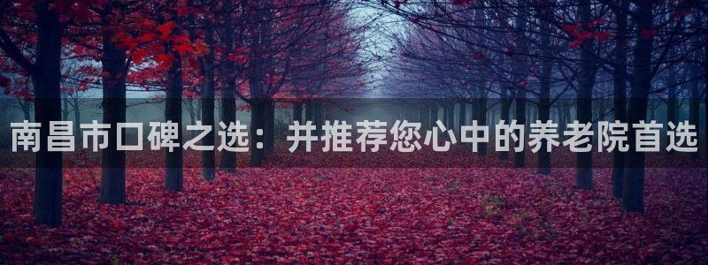 韦德游戏注册需要什么