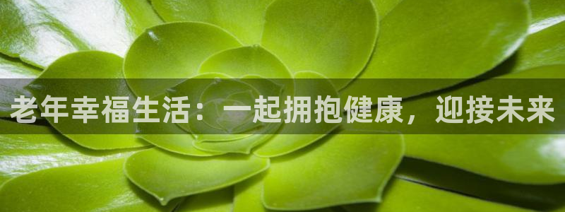 韦德游戏注册有风险吗