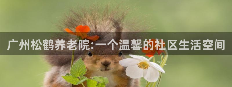 韦德1946中文官网