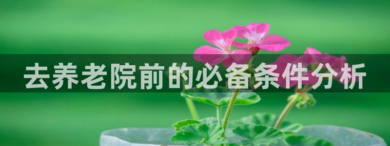 韦德官网注册推荐网站