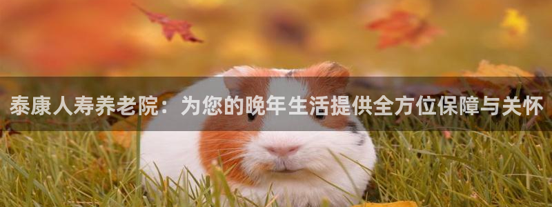 韦德1946中文官网