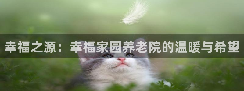 韦德官网注册推荐网站